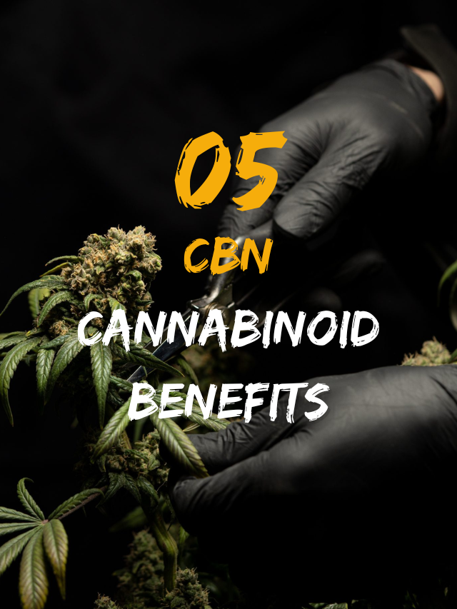 5 cbn benefits