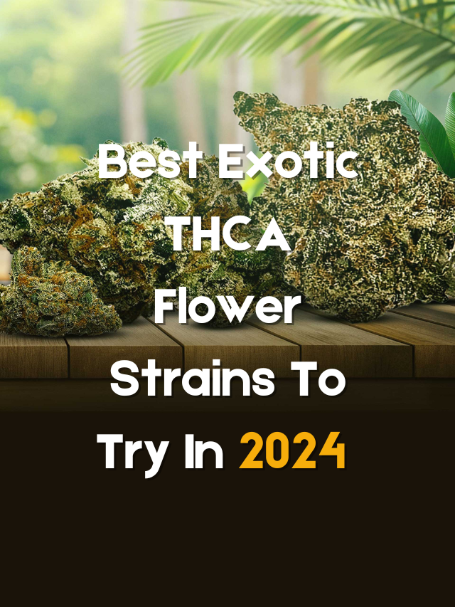 exotic-thca-flower-strains-to-try-2024