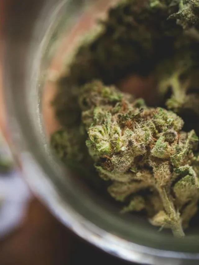 Exotic THCA Flower