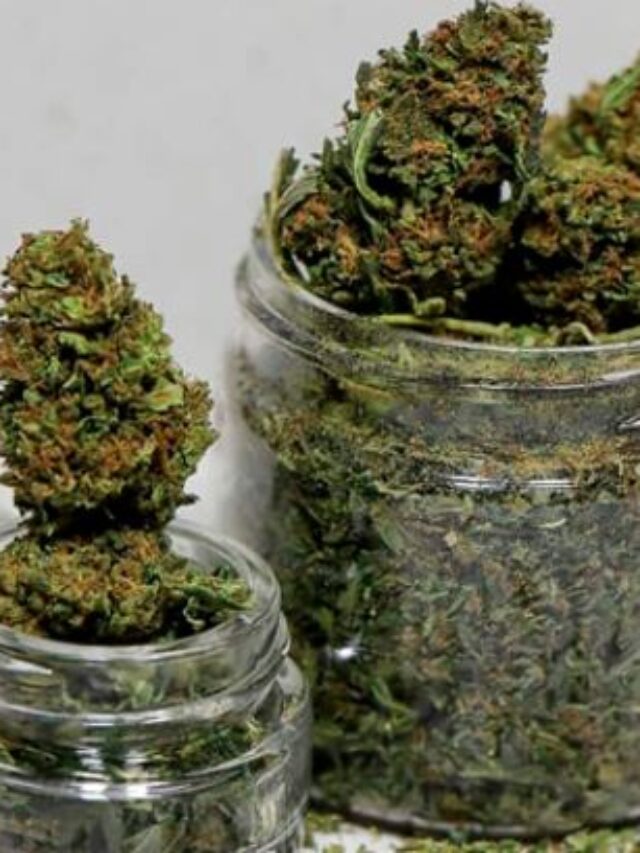 Does Delta 8 Have THC