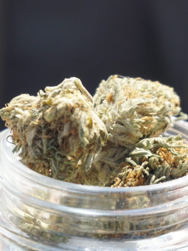 CBD Hemp Flower
